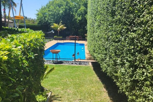 property clearing service