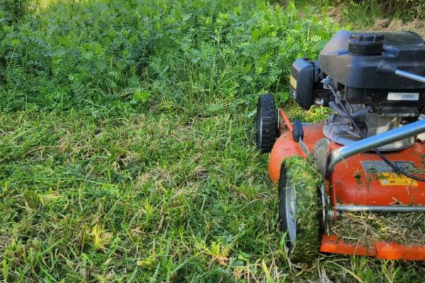 commercial property maintenance