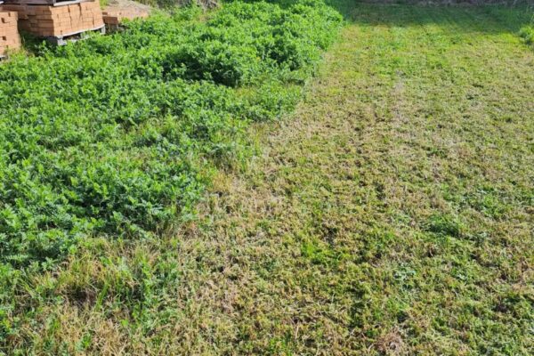 commercial property maintenance