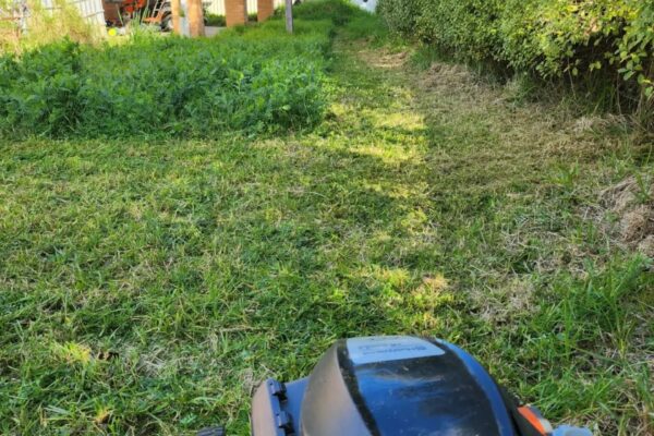 commercial property maintenance