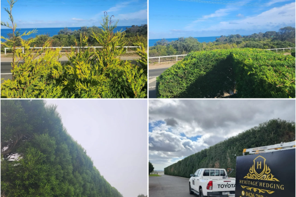 property maintenance melbourne